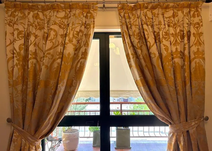 Olive In The Heart Of * Tiran