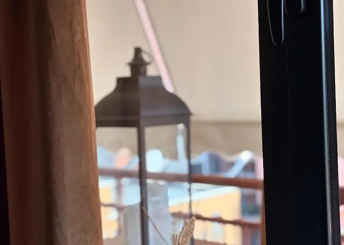 Olive In The Heart Of Daire Tiran