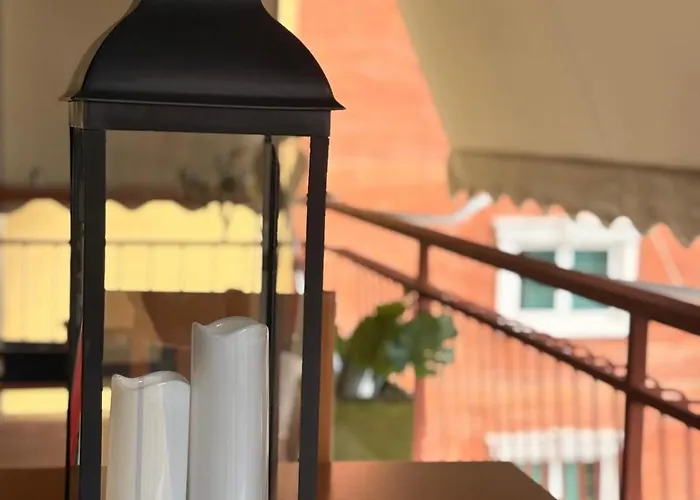 Olive In The Heart Of Daire Tiran